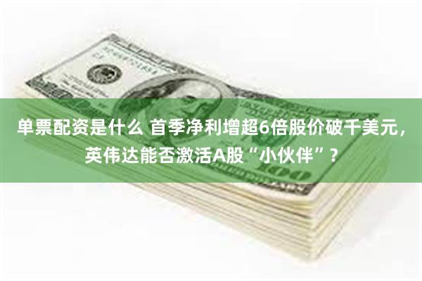 单票配资是什么 首季净利增超6倍股价破千美元，英伟达能否激活A股“小伙伴”？