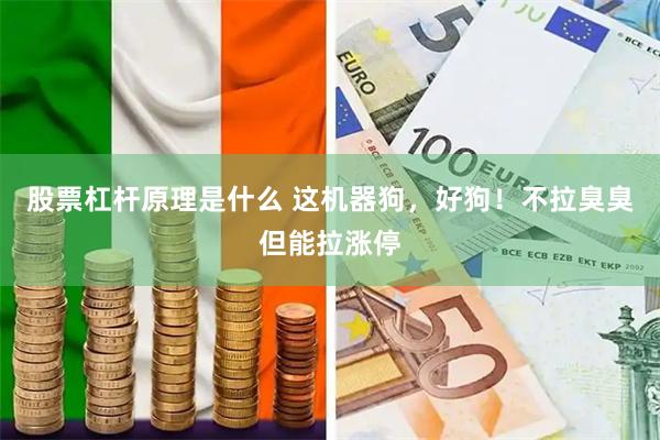 股票杠杆原理是什么 这机器狗，好狗！不拉臭臭但能拉涨停