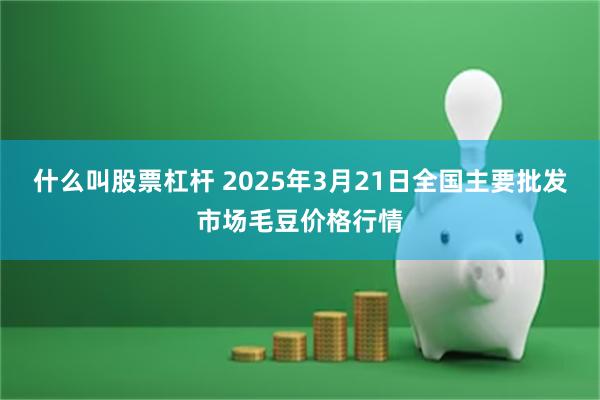 什么叫股票杠杆 2025年3月21日全国主要批发市场毛豆价格行情