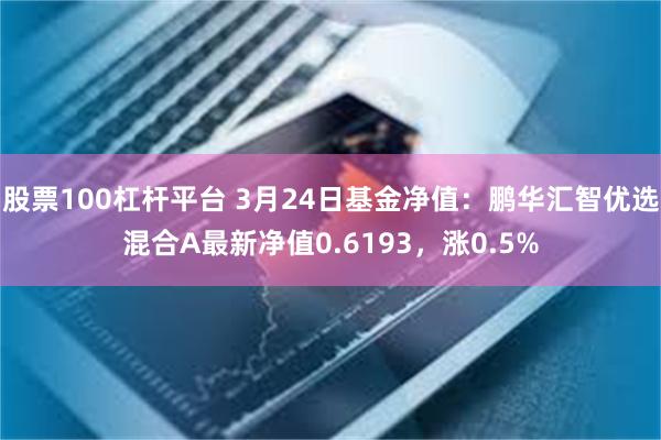 股票100杠杆平台 3月24日基金净值：鹏华汇智优选混合A最新净值0.6193，涨0.5%