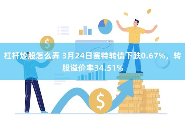 杠杆炒股怎么弄 3月24日赛特转债下跌0.67%，转股溢价率34.51%