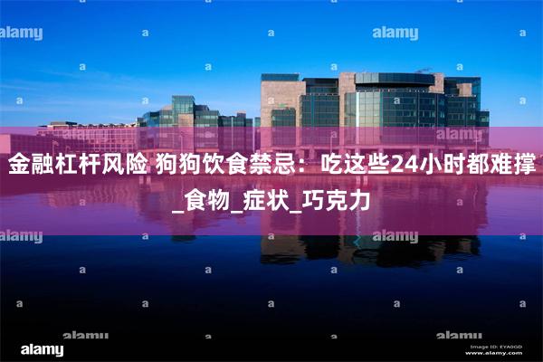 金融杠杆风险 狗狗饮食禁忌：吃这些24小时都难撑_食物_症状_巧克力