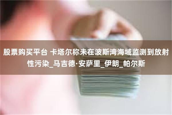 股票购买平台 卡塔尔称未在波斯湾海域监测到放射性污染_马吉德·安萨里_伊朗_帕尔斯