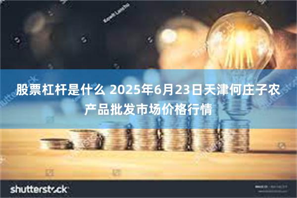 股票杠杆是什么 2025年6月23日天津何庄子农产品批发市场价格行情