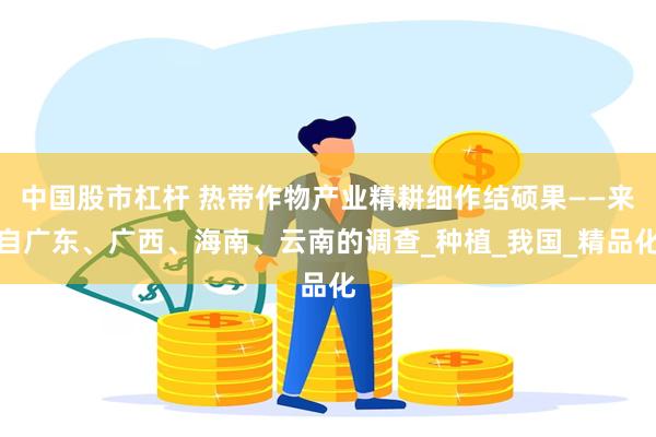 中国股市杠杆 热带作物产业精耕细作结硕果——来自广东、广西、海南、云南的调查_种植_我国_精品化